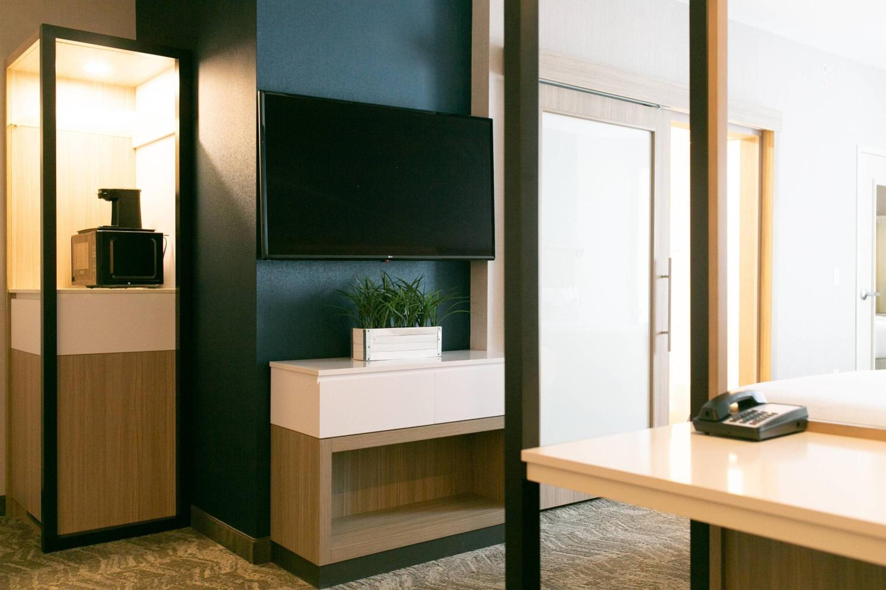 SpringHill Suites by Marriott South Bend Notre Dame Area - photo 35