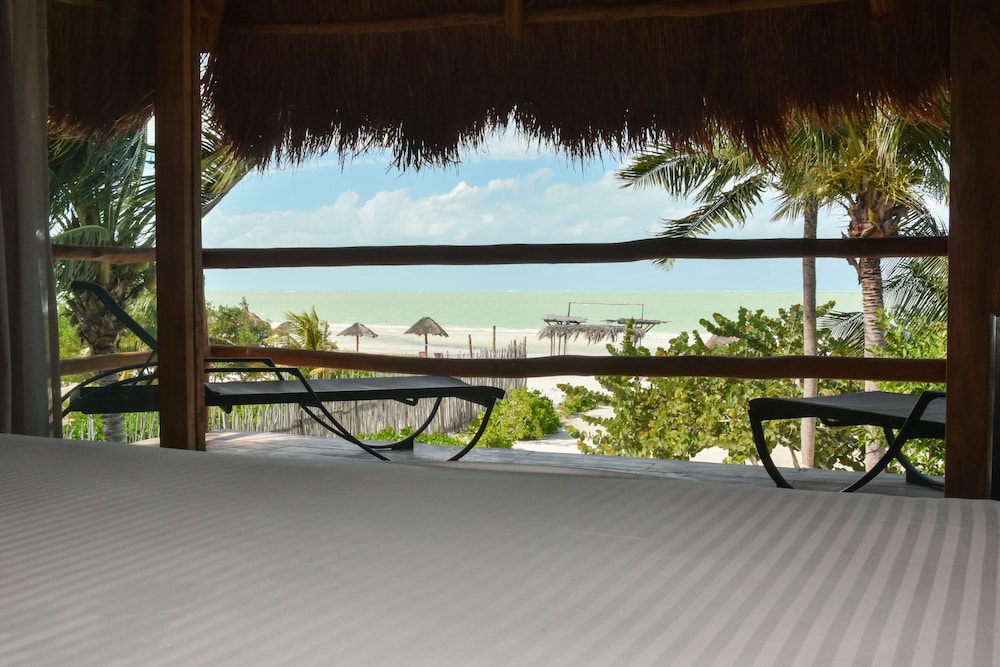 Blue Holbox