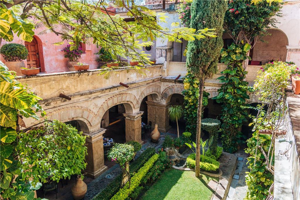 Bugambilias garden