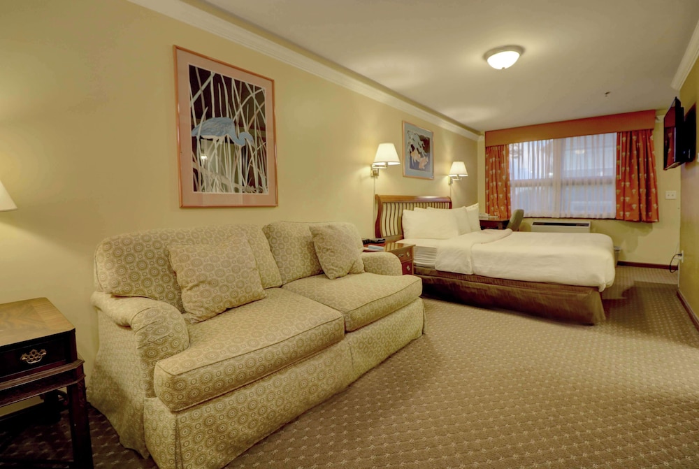 Senator Inn & Spa - photo 49