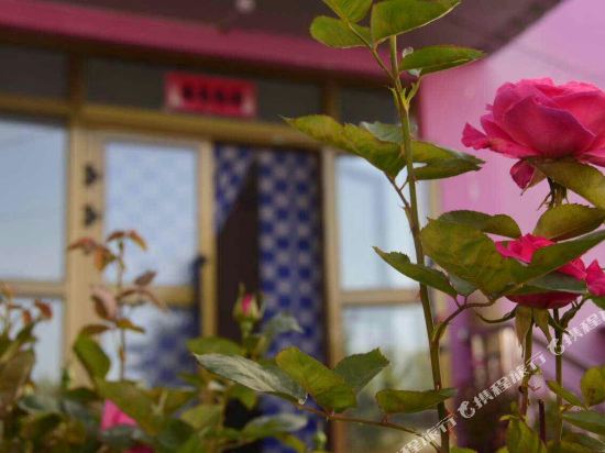 Nalatikelaike in Xinyuan, People's Republic of China