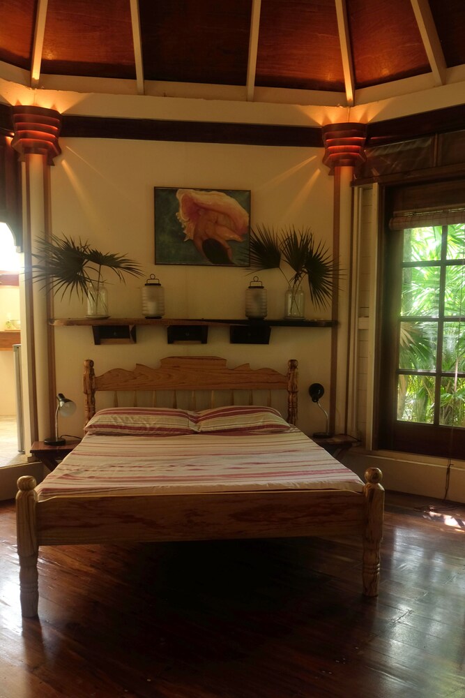 Jungle Cocoon in Unknown City, Belize