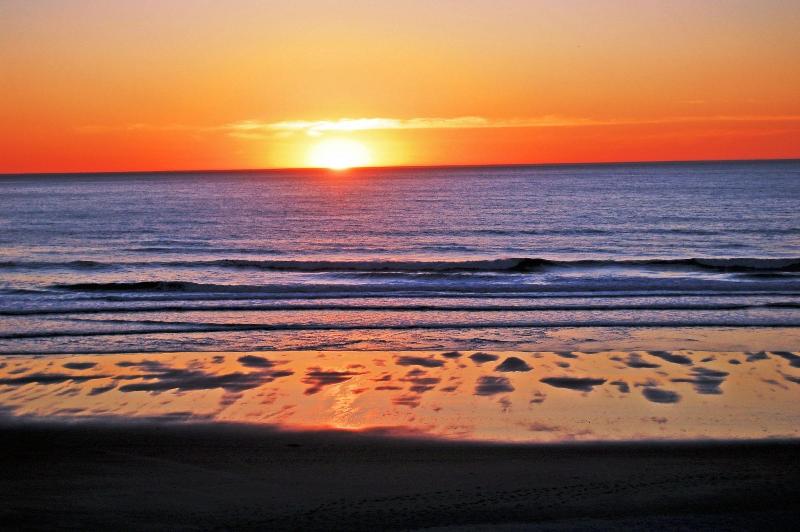 Starfish Manor Oceanfront Hotel - photo 2