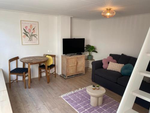 Beach Bliss - last minute hotel in Noordwijk-Binnen