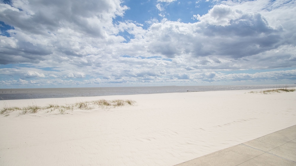 Hampton Inn Biloxi - photo 45