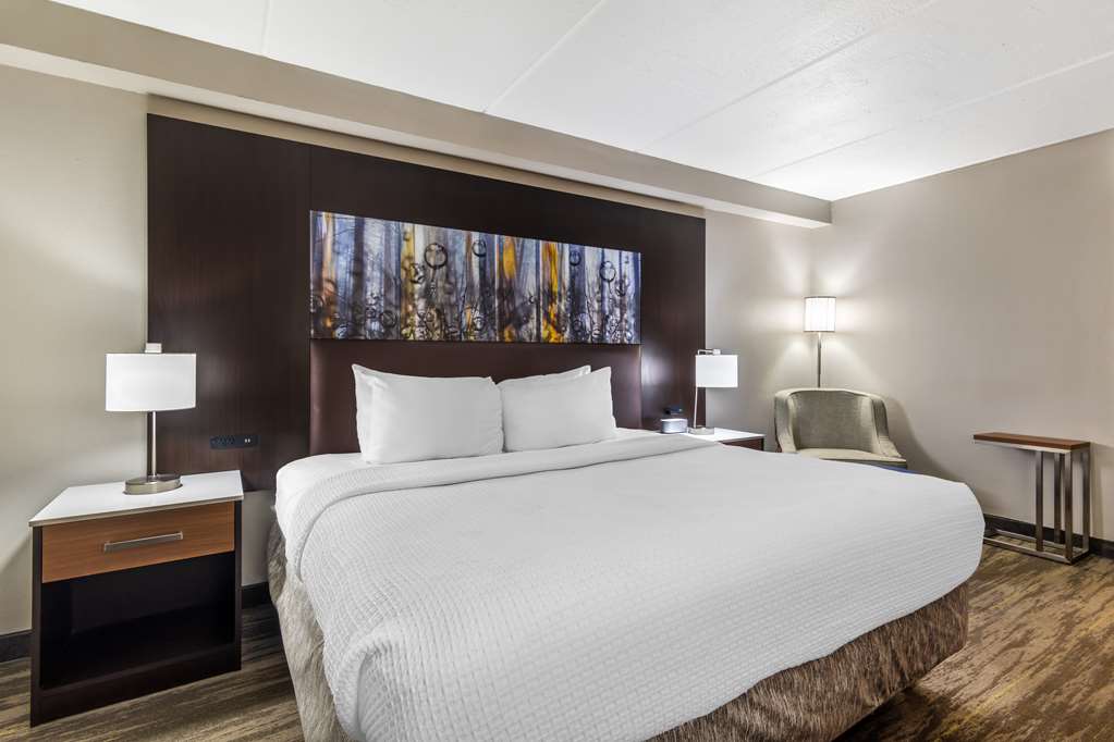 Best Western Atlanta Marietta Ballpark Hotel - photo 16