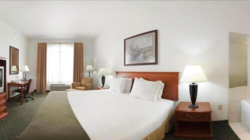 Holiday Inn Express Hotel & Suites Rockford Loves Park by IHG - photo 9