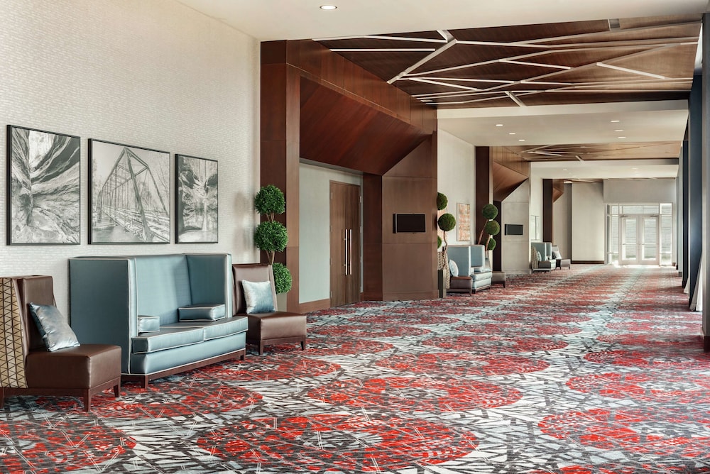 Embassy Suites by Hilton Noblesville Indianapolis Convention Center - photo 47