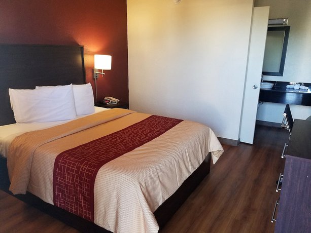 Motel 6 San Antonio Northeast - photo 10
