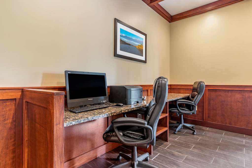 Comfort Suites Grand Rapids North - photo 31