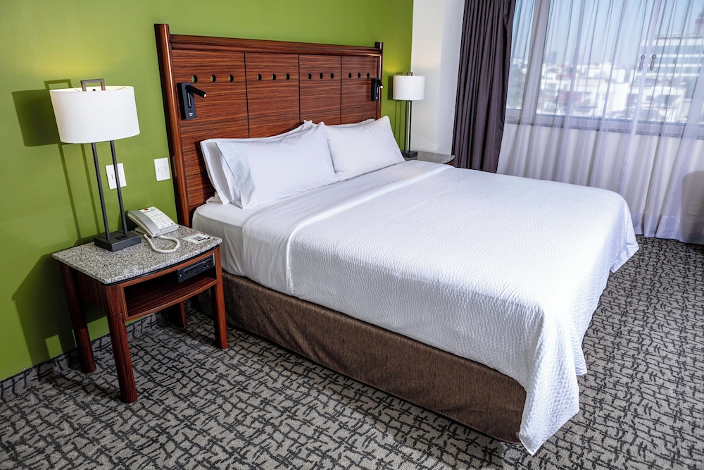 Holiday Inn Ciudad De Mexico Trade Center by IHG