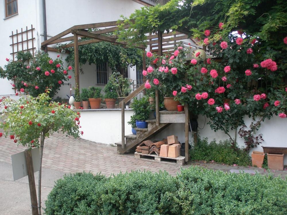 Landhotel Elfenhof — hotel in Immenstaad Am Bodensee