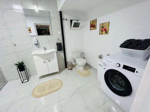 Leos Dream Apartment — Drama — photo 2