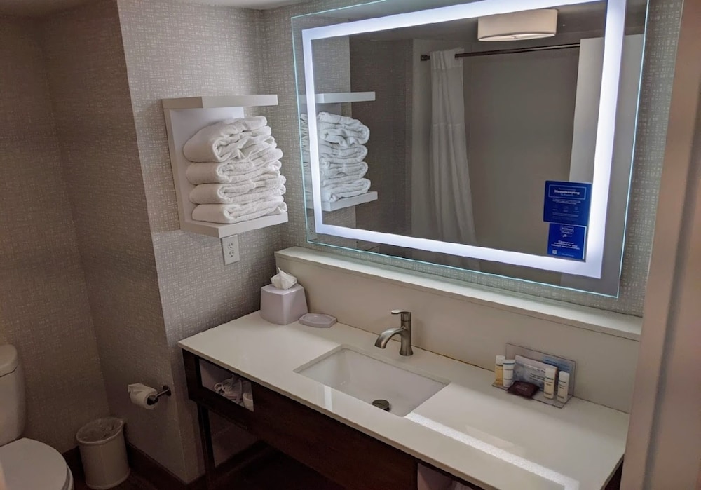 Hampton Inn Atlanta Canton - photo 14