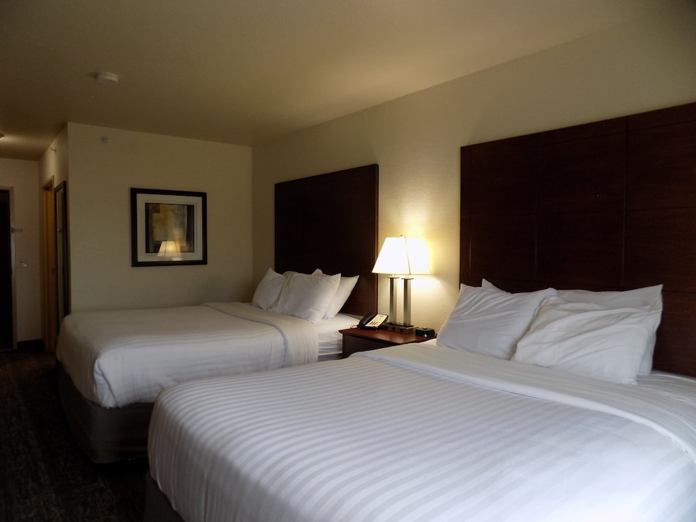 Cobblestone Hotel & Suites Seward - photo 17