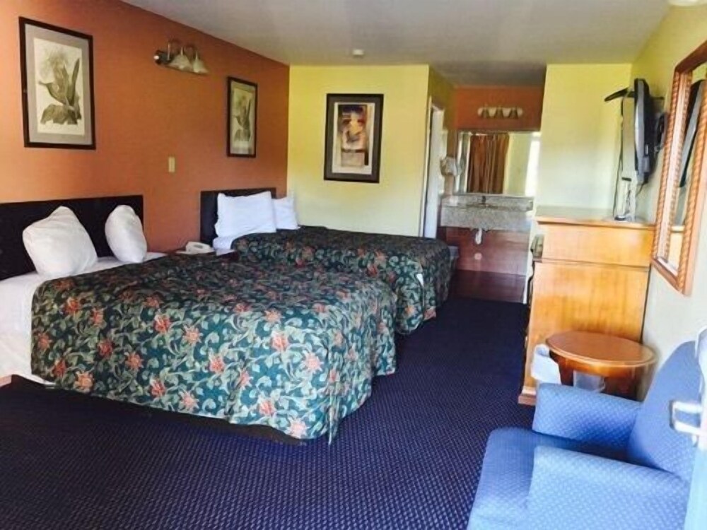Deluxe Motel - photo 10