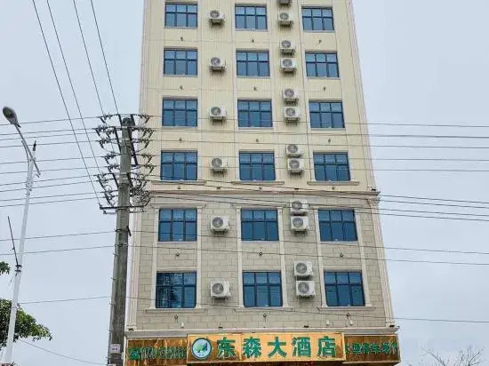Dongxing Dongsen Hotel in Dongxing, People's Republic of China