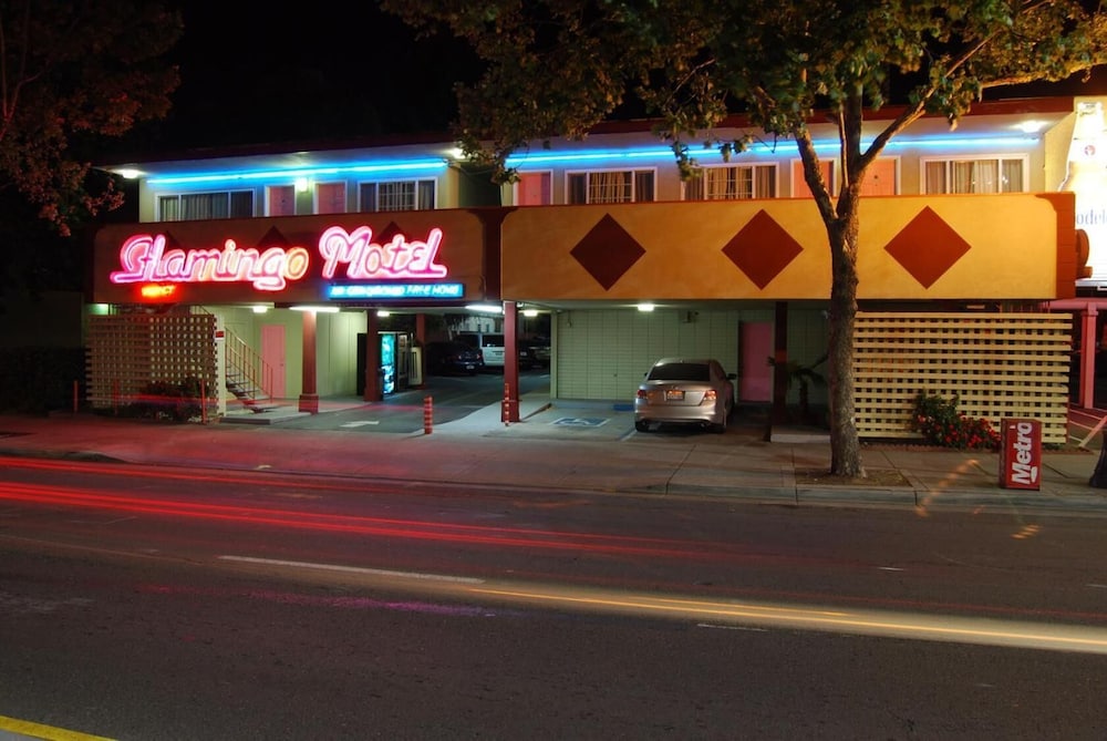 The Flamingo Motel - photo 25