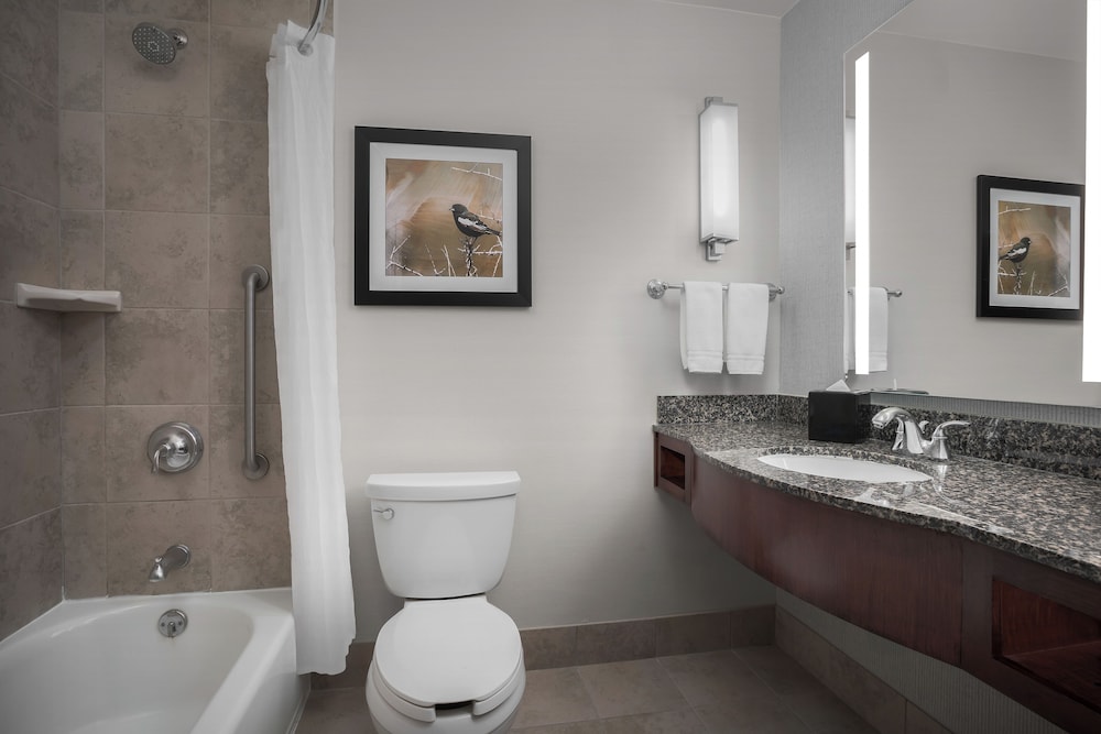 Hilton Garden Inn Denver Downtown - photo 41