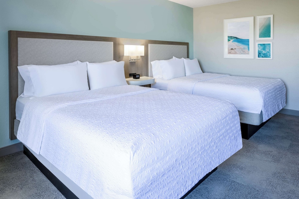 Hampton Inn & Suites Venice Bayside South Sarasota - photo 13