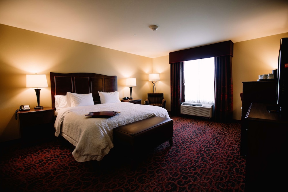 Hampton Inn & Suites Minot Airport - photo 12