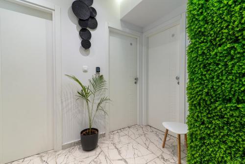 Antares Luxury Rooms 2 — Split — photo 4