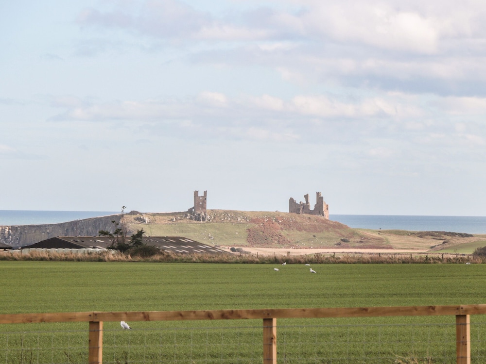 Stable D’or — Alnwick — photo 3