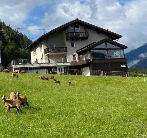 Haus Schwaighof — 4-Star Luxury Hotel in Arzl Im Pitztal, Austria
