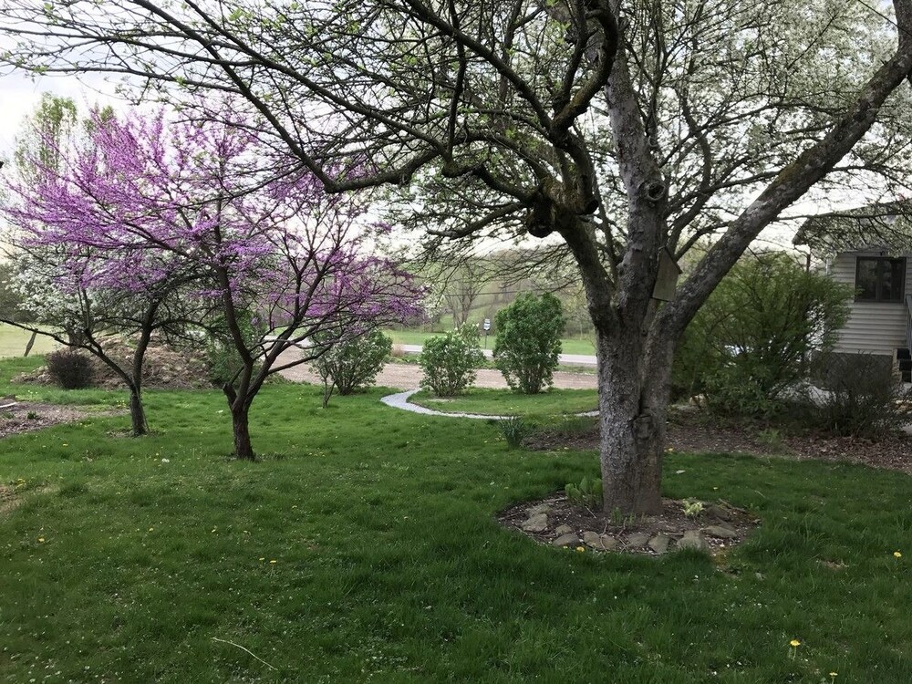 Hocking Hills Inn - last minute hotel in Logan