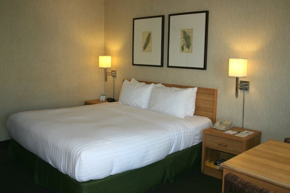 Vagabond Inn Los Angeles at USC - photo 14