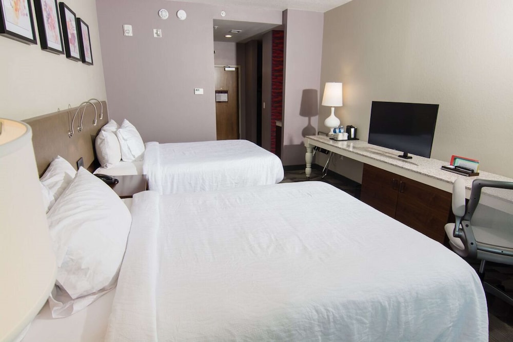 Hilton Garden Inn Tampa Suncoast Parkway - photo 17
