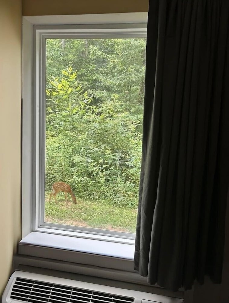 WoodSpring Suites Atlanta Airport - photo 24