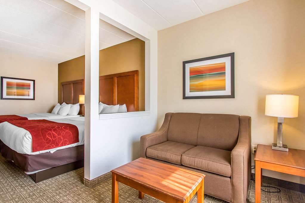 Comfort Suites Richmond - photo 18