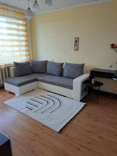 Nakvynė ir poilsis Zarasų mieste visai šeimai — Zarasai — photo 5
