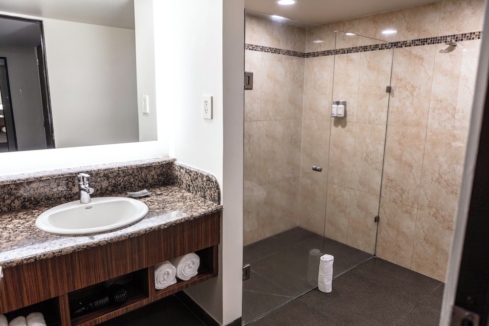 Holiday Inn Ciudad De Mexico Trade Center by IHG