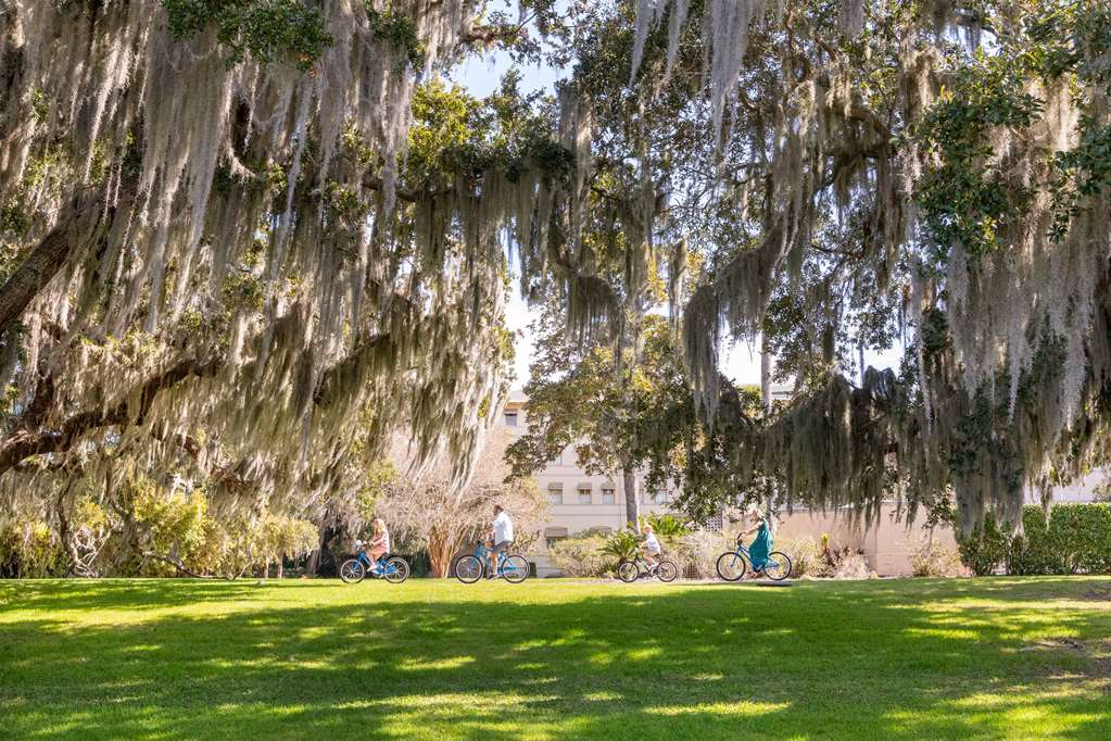 Jekyll Island Club Resort - photo 79