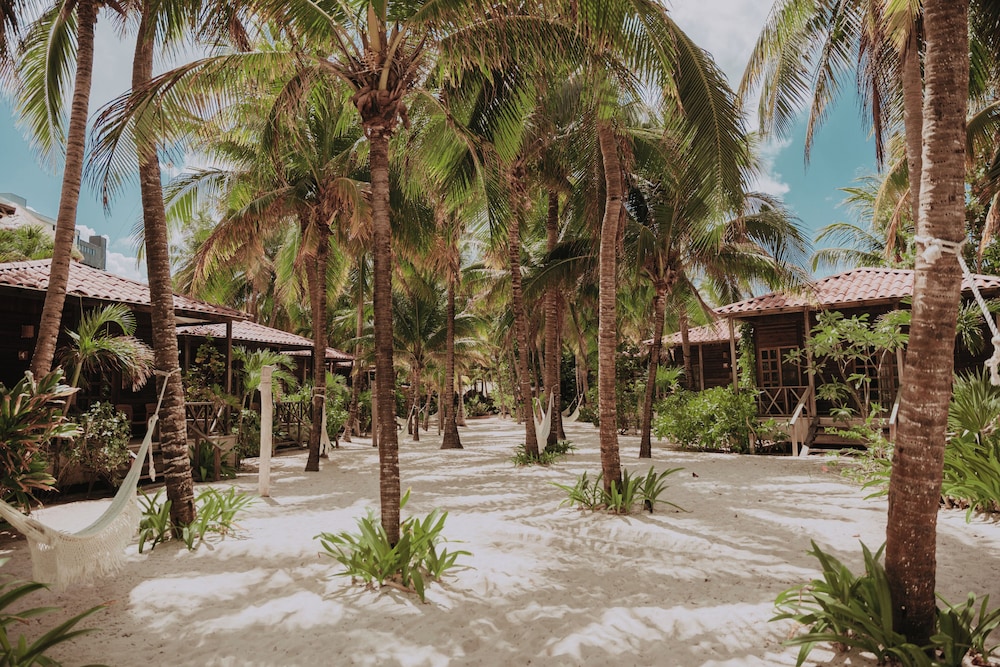 Primary image
