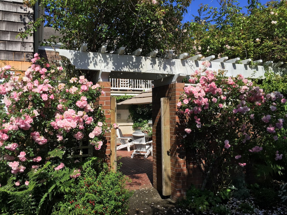 The Courtyard - photo 49