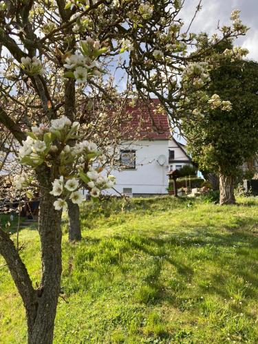 Ferienhaus Thalblick in Ruhla — hotel in Ruhla