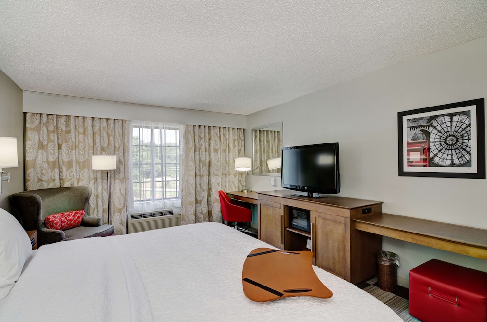 Hampton Inn Salem VA - photo 18