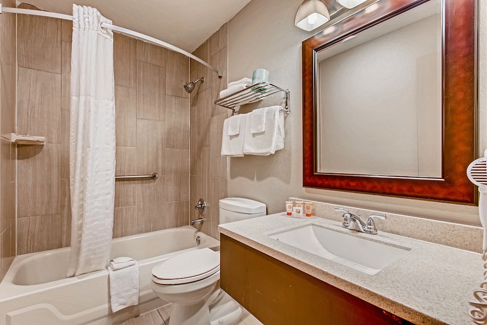 Orangewood Inn & Suites Midtown - photo 30
