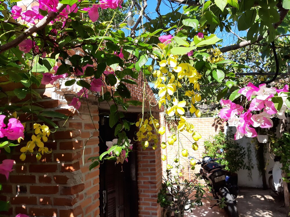 Mui Ne Connect — Phan Thiet — photo 4