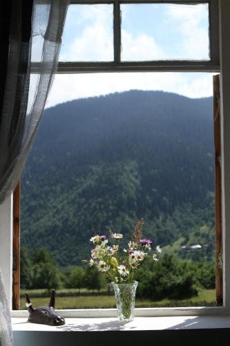 Peak Mazeri Guest House