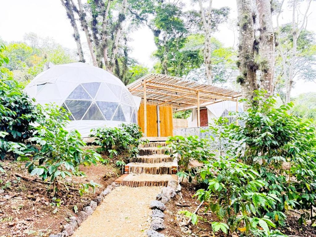 Alma Glamping in Coatepec, Mexico