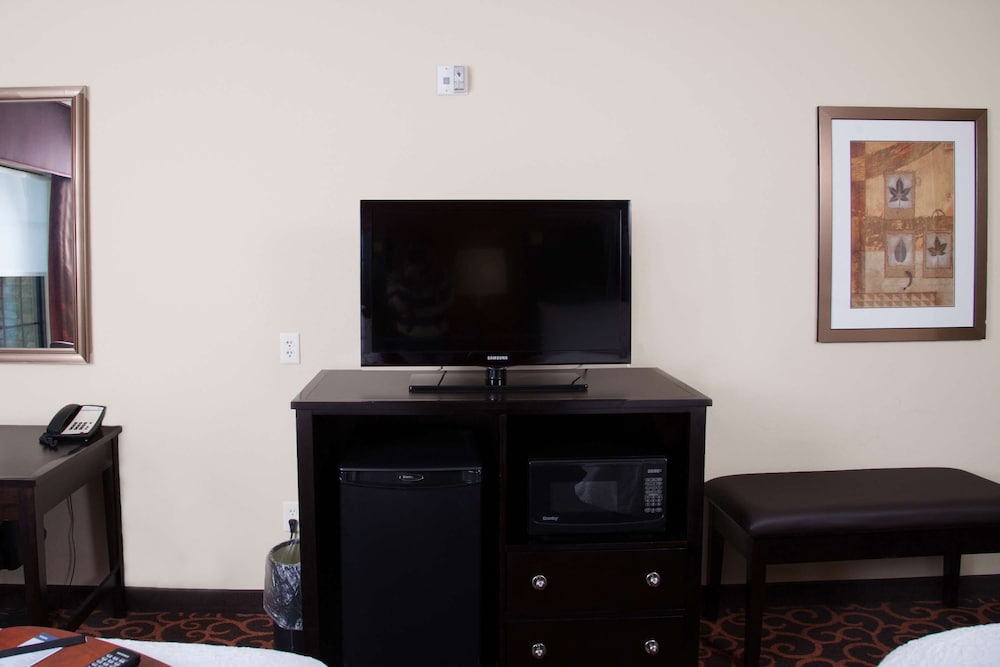 Hampton Inn & Suites Dickinson - photo 20