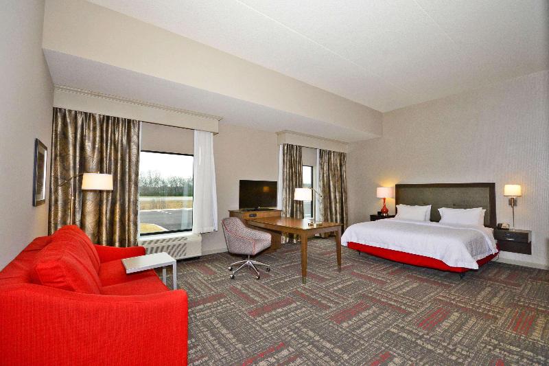 Hampton Inn Pulaski - photo 20