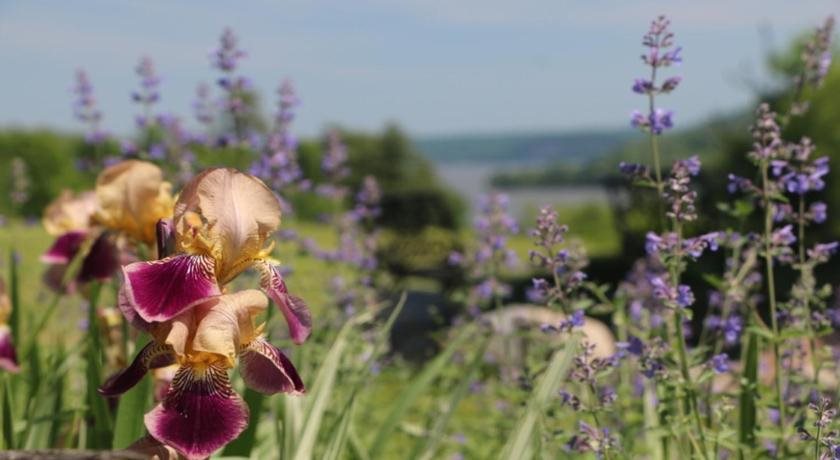 The Inn on Lake Champlain - last minute hotel in Putnam