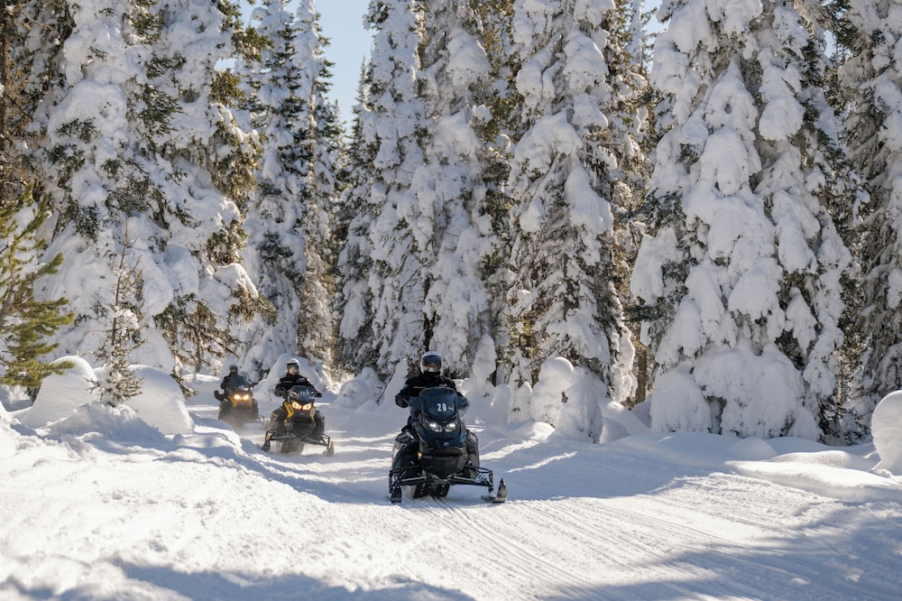 Explorer Cabins At Yellowstone - photo 41