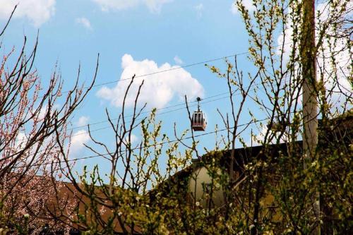 Feel Old Tbilisi