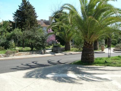Levolle Marine - carbon neutral hotel in San-Nicolao
